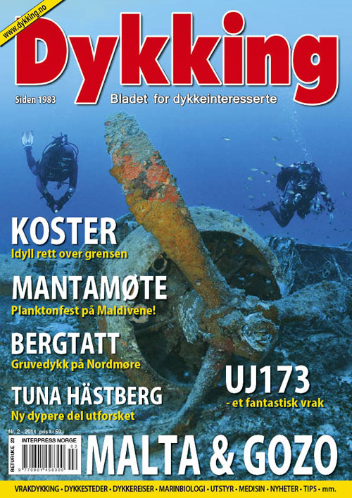 Dykking 2/2011