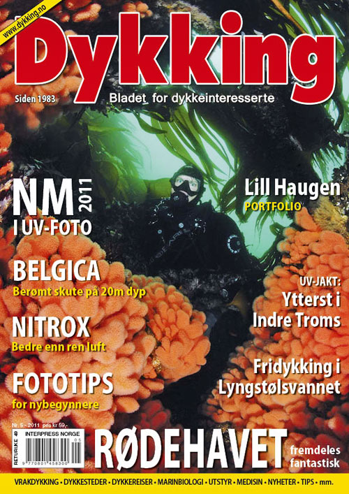 Dykking 5/2011