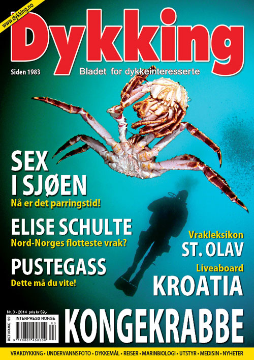 Dykking 3/2014