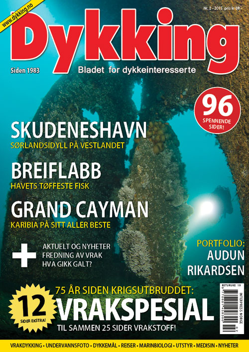 Dykking 2/2015