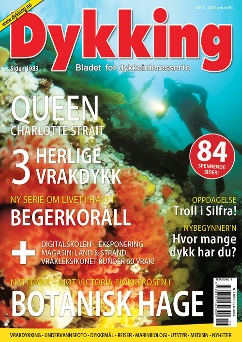 Dykking 6/2015