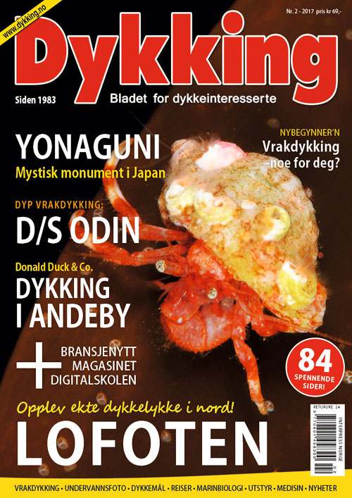 Dykking 2/2017